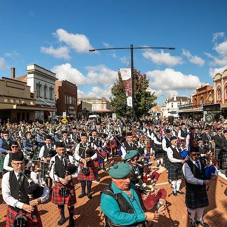 Cbd Gi Motel Glen Innes Kültér fotó